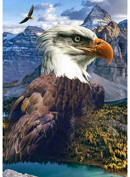 Call of the Wild - Eagle - Panel 30.5"x43.75",