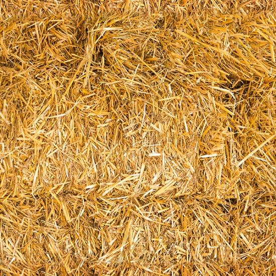 Sun Up to Sun Down - Hay – Threads of Time