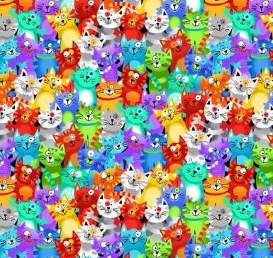 Rainbow Cats