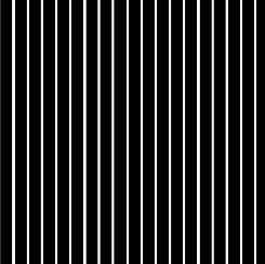 Dots & Stripes - Spaced Stripe