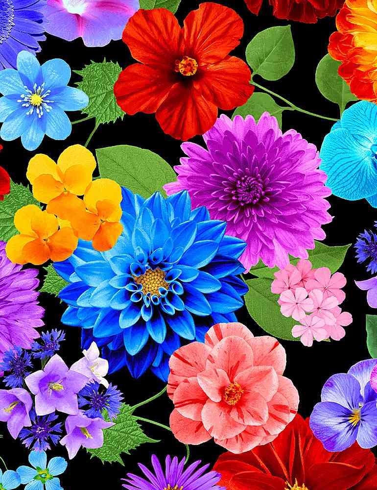Flora - Variety of Vibrant Florals BLACK