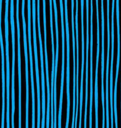 Nitty Grittie - Sketch Stripe Blue