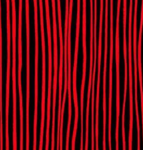 Nitty Grittie - Sketch Stripe Red