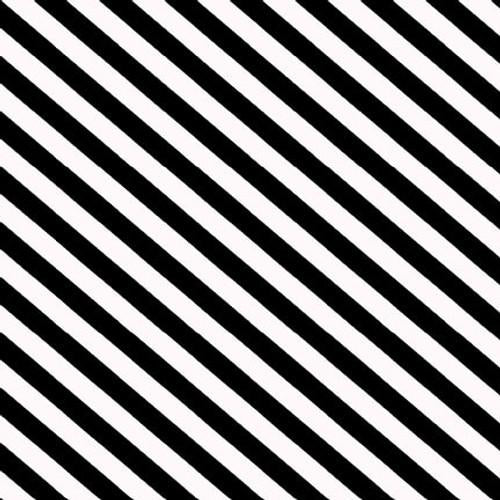 Paradox - Black Bias Stripe