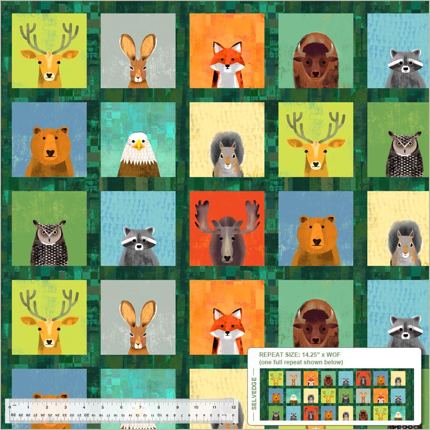 Wild North - Wildlife Portraits